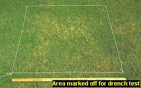 A marked off area for a drench test