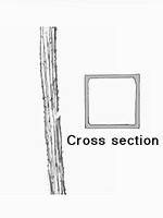 A square stem