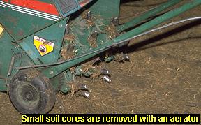 Photo of an aerator removing cores of soil