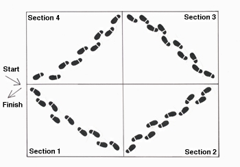 Illustration of a lawn divided into 4 sections