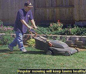 Photo of mowing a lawn