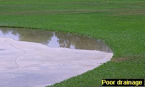 Photo of lawn with puddling water