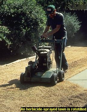 Photo of an old lawn being rototilled