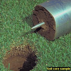 Photo of a soil core sample