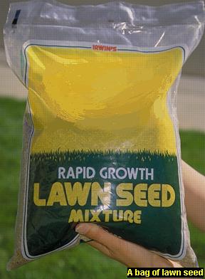 Photo of a bag of lawn seed