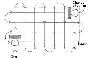 Illustration showing pattern for seeding a lawn