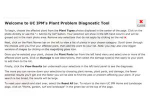 Learn what is causing your plant problems. 