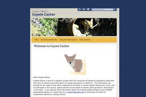 Support coyote research by helping collect information on coyote encounters in California via the Coyote Cacher—ucanr.edu/sites/CoyoteCacher 