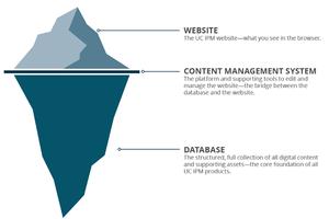 What you see online is just the tip of the iceberg. Beneath the surface, the content database drives what you see online. UC IPM is working to add our content into a database. The long-term goal is to increase efficiencies when updating the website and improve our flexibility so that users can dictate what they want to see and how they want to see it. 