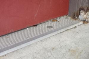 Cockroaches may enter buildings through large gaps under exterior doors. Door sweeps provide physical barriers to keep cockroaches outside. Credit: Andrew M. Sutherland, UC IPM. Copyright 2019 Regents of the University of California. Photo by: Andrew M. Sutherland, UC IPM. Copyright 2019 Regents of the University of California.