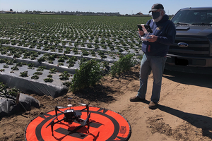 Area IPM Advisor Chris Greer in the field with a drone. Credit: Andre S. Biscaro, UC Cooperative Extension, ANR. Copyright 2021 Regents of the University of California. Photo by: Andre S. Biscaro, UC Cooperative Extension, ANR. Copyright 2021 Regents of the University of California.