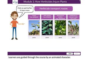 Learners are guided through online courses by an animated host. From online course Diagnosing Herbicide Injury. 