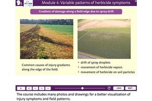 <em>Diagnosing Herbicide Injury</em> includes many photos and drawings for visualization of injury symptoms on plants and injury patterns in the field. 