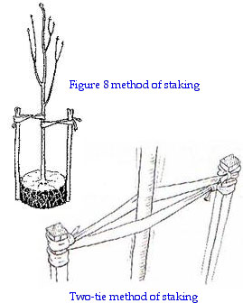 Staking methods