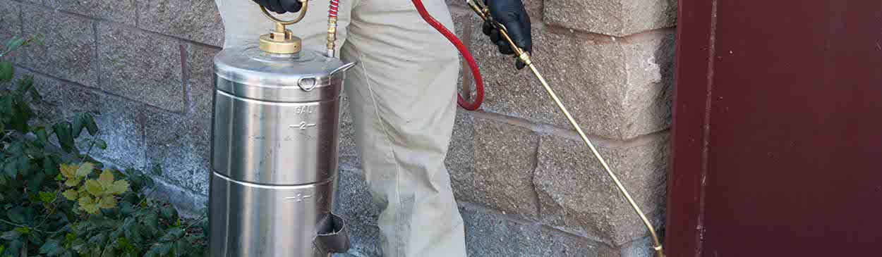 A single hose pesticide application with a compressed air B and G sprayer in a landscape.; UC ANR building Davis, CA