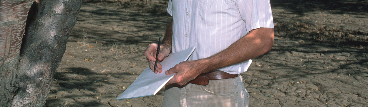 Monitoring almond orchard.