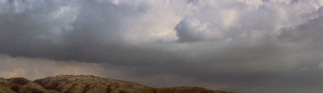 Cumulus clouds