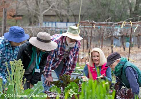 Fair Oaks Horticulture Center, Sacramento. March 7, 2019. UCANR Master Gardener's 40th Anniversary Celebration. Pam Bone Interview; Stockton, CA